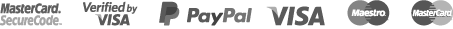 payment icon